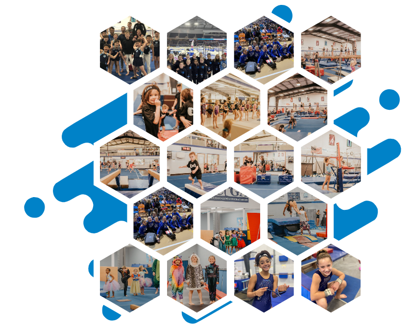 Gym Star athletes, classes and facilities in a blue honeycomb collage